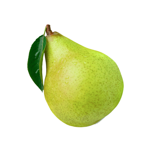 Fruits